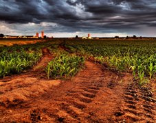 土壤養(yǎng)分分析儀對土壤有什么作用？