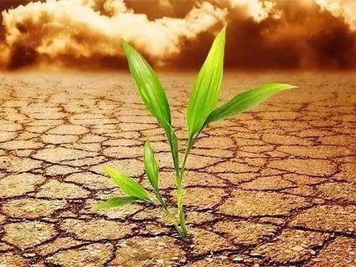 土壤重金屬檢測(cè)儀 土壤重金屬檢測(cè)儀