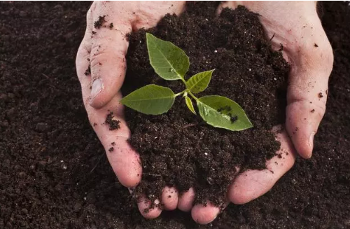 肥料養(yǎng)分速測儀 肥料養(yǎng)分速測儀